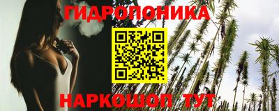 молекула духа Камышлов