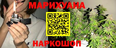 молекула духа Камышлов
