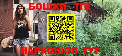 молекула духа Камышлов