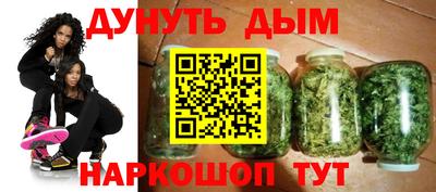 молекула духа Камышлов