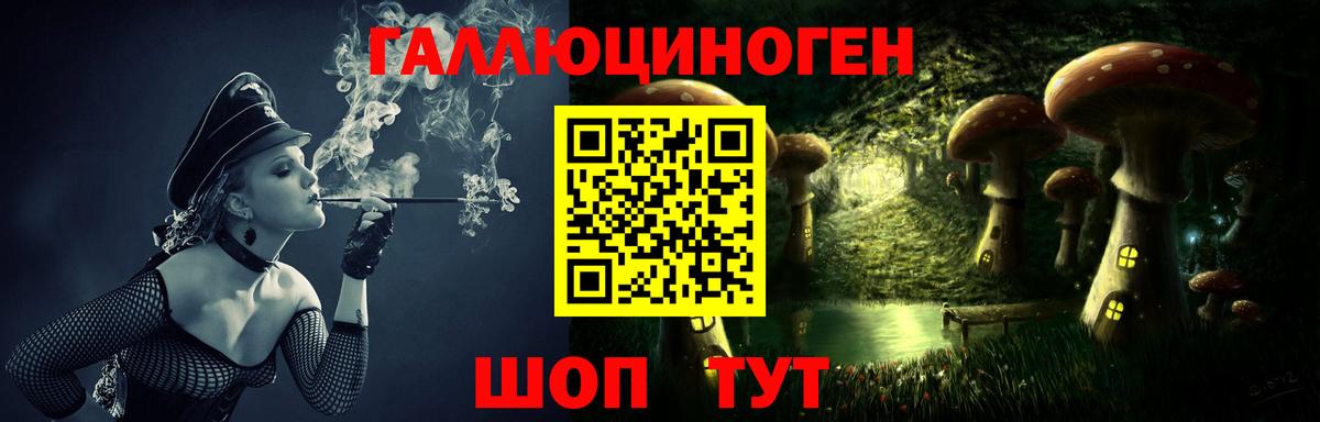 Псилоцибиновые грибы Psilocybine cubensis Реутов